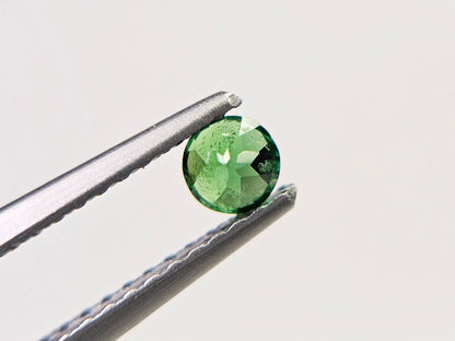 TSV-11　ツァボライト　0.22ct