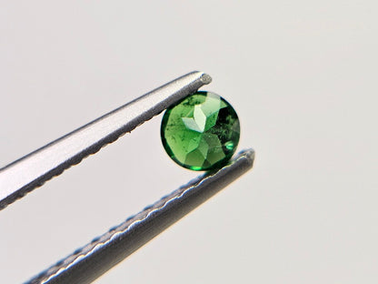 TSV-12　ツァボライト　0.21ct