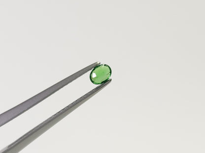 TSV-53　ツァボライト　0.20ct