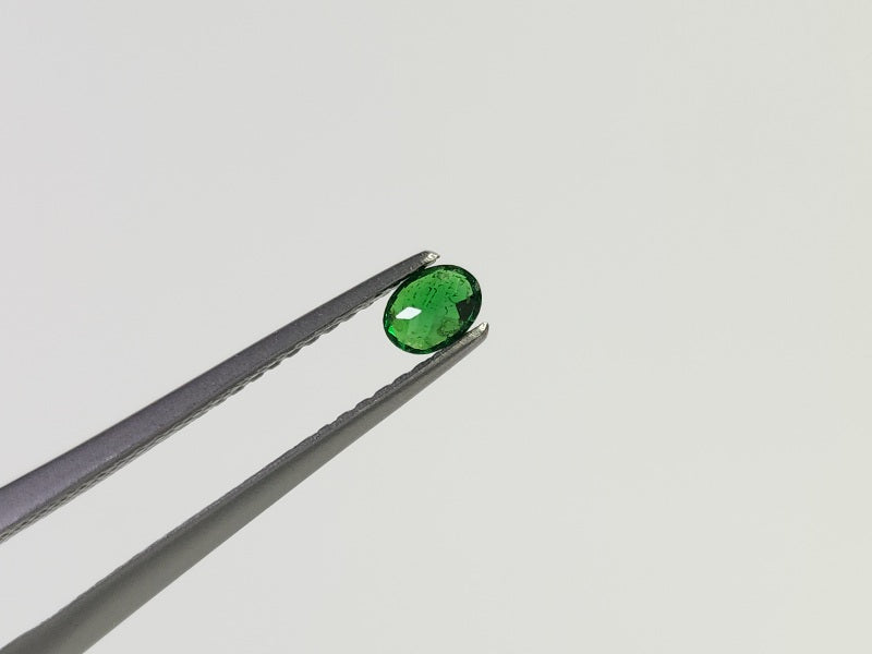 TSV-54　ツァボライト　0.20ct