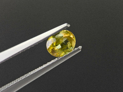 SPH-32　スフェーン　0.48ct