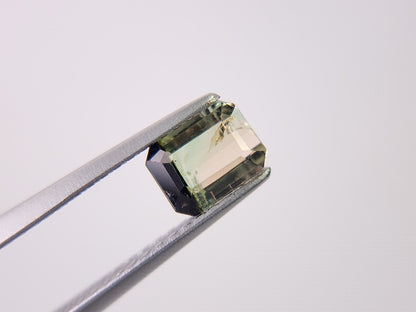 bcTRM-10　バイカラートルマリン　0.76ct