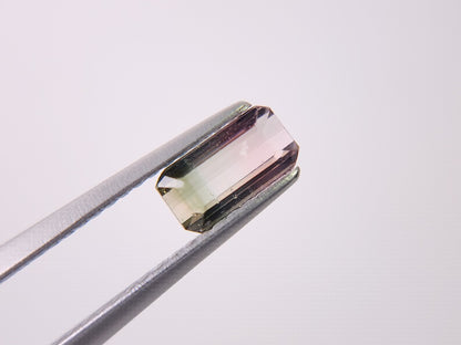 bcTRM-11　バイカラートルマリン　0.70ct