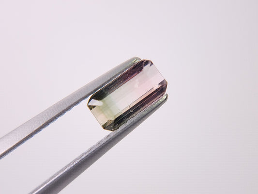 bcTRM-11　バイカラートルマリン　0.70ct