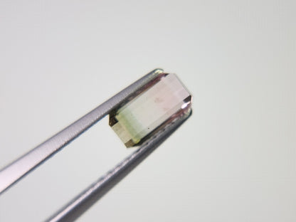bcTRM-11　バイカラートルマリン　0.70ct