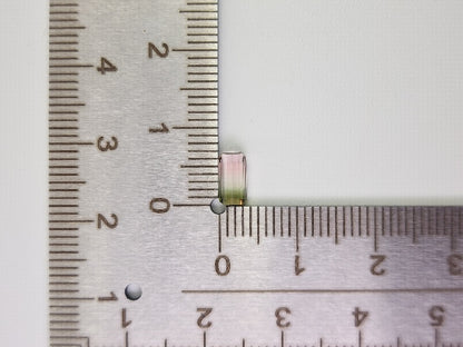 bcTRM-11　バイカラートルマリン　0.70ct