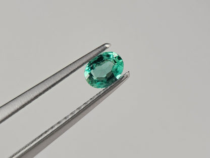 EM-30　エメラルド(ザンビア産)　0.22ct