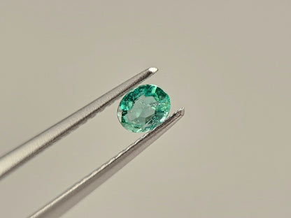 EM-32　エメラルド(ザンビア産)　0.21ct