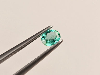 EM-39　エメラルド(ザンビア産)　0.25ct