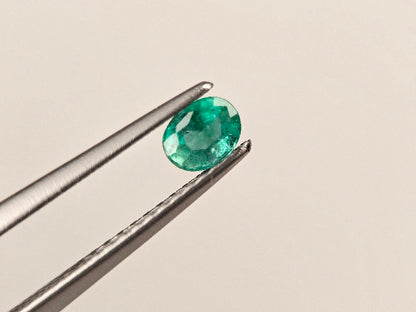 EM-40　エメラルド(ザンビア産)　0.25ct