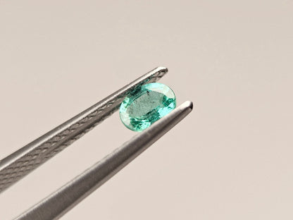 EM-41　エメラルド(ザンビア産)　0.25ct