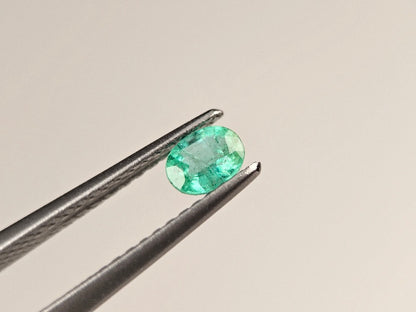 EM-44　エメラルド(ザンビア産)　0.23ct