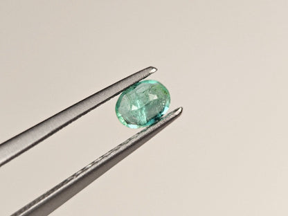 EM-44　エメラルド(ザンビア産)　0.23ct