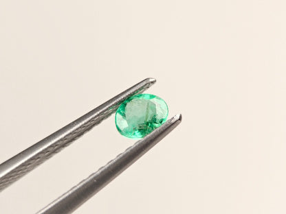 EM-45　エメラルド(ザンビア産)　0.23ct