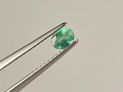 EM-48　エメラルド(ザンビア産)　0.23ct
