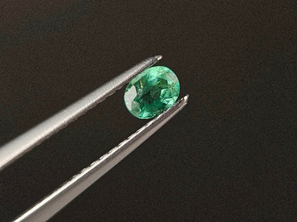 EM-48　エメラルド(ザンビア産)　0.23ct