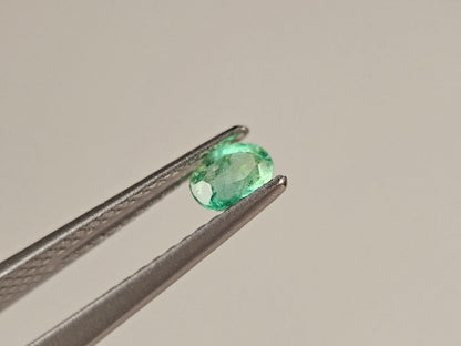 EM-48　エメラルド(ザンビア産)　0.23ct
