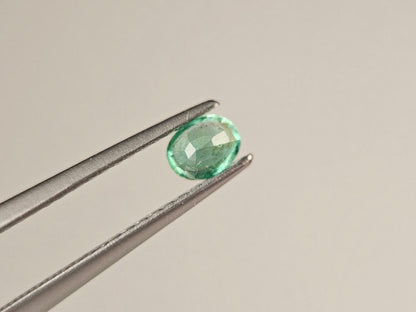 EM-48　エメラルド(ザンビア産)　0.23ct