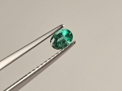 EM-49　エメラルド(ザンビア産)　0.23ct