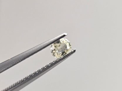 SET2-yeAP-49　イエローアパタイト2石セット　計0.36ct
