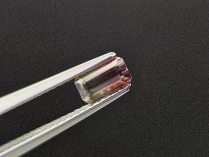 bcTRM-19　バイカラートルマリン　0.40ct