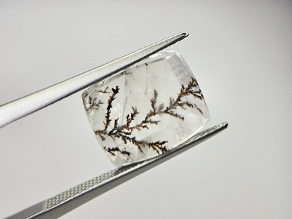DRQ-7　デンドリッククォーツ　5.98ct