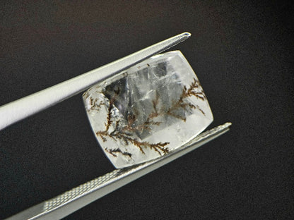 DRQ-7　デンドリッククォーツ　5.98ct
