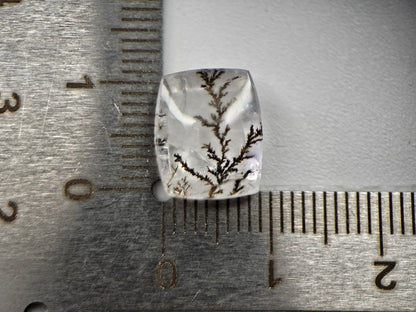DRQ-7　デンドリッククォーツ　5.98ct
