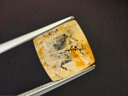 DRQ-8　デンドリッククォーツ　5.31ct