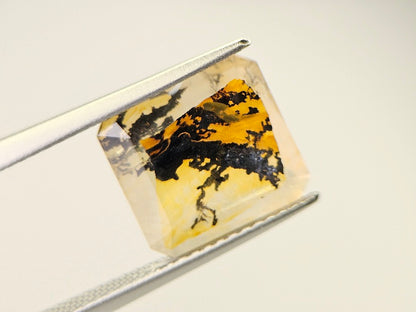 DRQ-9　デンドリッククォーツ　4.19ct