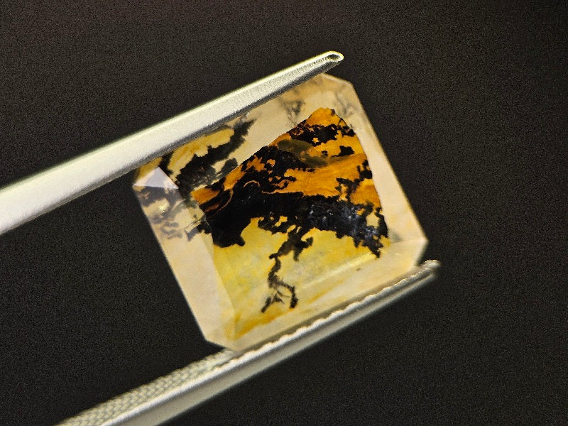 DRQ-9　デンドリッククォーツ　4.19ct