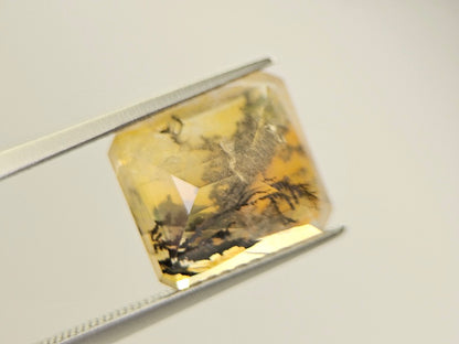 DRQ-9　デンドリッククォーツ　4.19ct