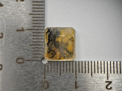 DRQ-9　デンドリッククォーツ　4.19ct