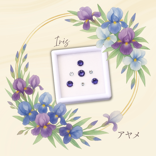 ルースセット【アヤメ】　5