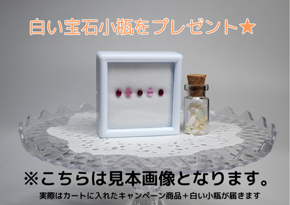 【⭐4,000円キャンペーン⭐】ガーネットセット1【期間限定！4,000円以上のお買い上げで送料無料】