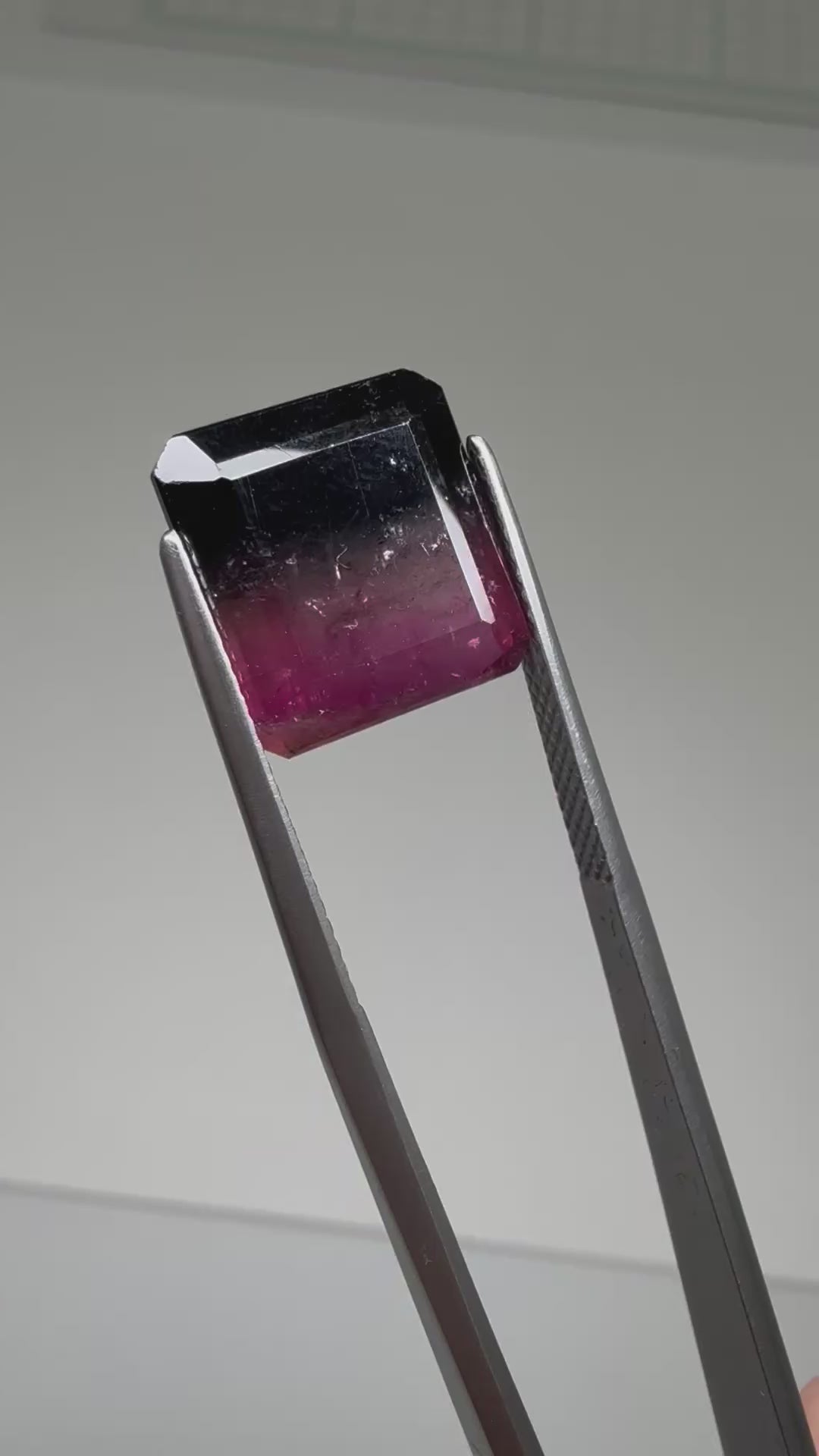 0216-1 バイカラートルマリン 11.76ct – 東洋ルース公式オンラインショップ