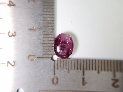 pu-SSA-30　パープルスターサファイア　3.36ct