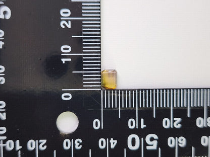 0879-30  トルマリン  0.72ct