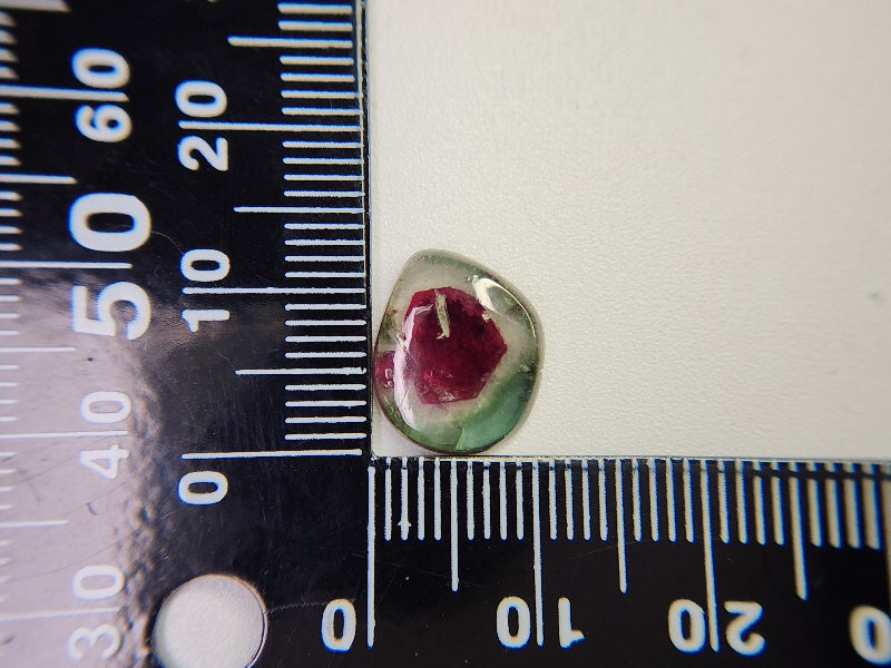0565-25 ウォーターメロントルマリン 4.00ct ※傷あり – 東洋ルース公式
