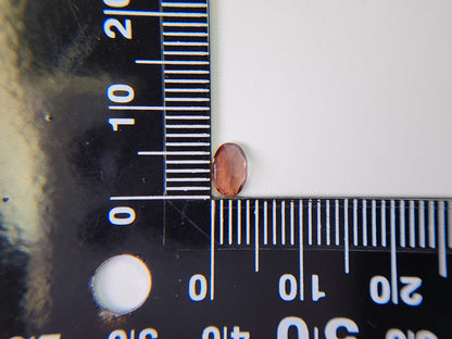 0152-3-1　バイカラーアンデシン　0.49ct