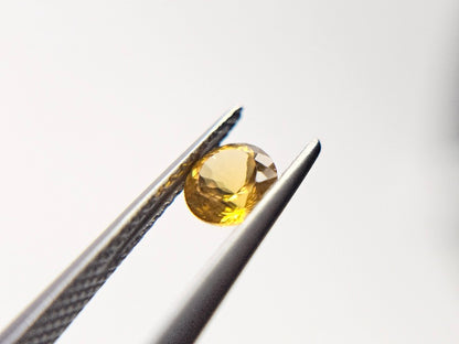 CND-5　コンドロダイト　0.49ct