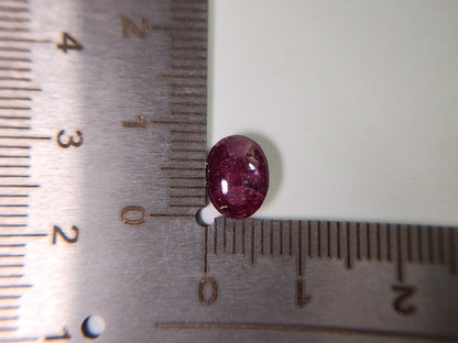 pu-SSA-29　パープルスターサファイア　3.39ct