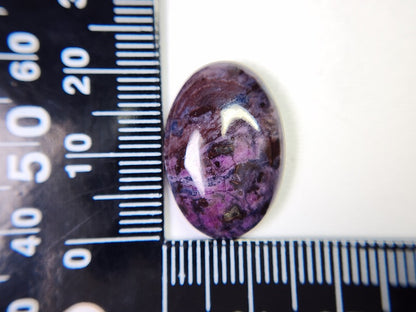 0880-9　スギライト　16.98ct