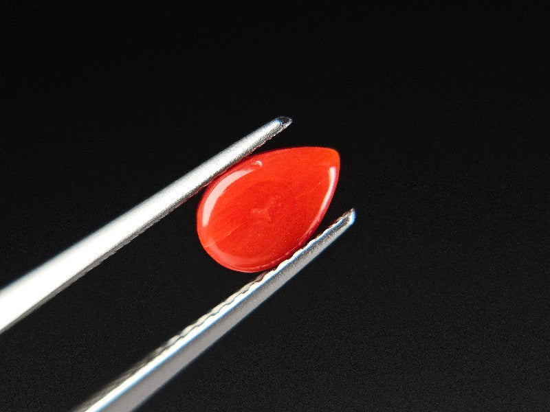 SNG-5　珊瑚　0.76ct