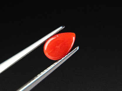 SNG-5　珊瑚　0.76ct