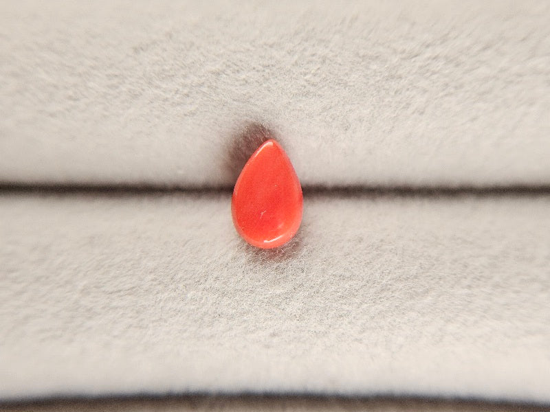 SNG-3　珊瑚　0.84ct