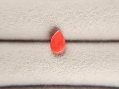 SNG-3　珊瑚　0.84ct