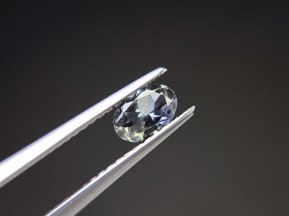 0655-12-5　ゾイサイト　0.45ct