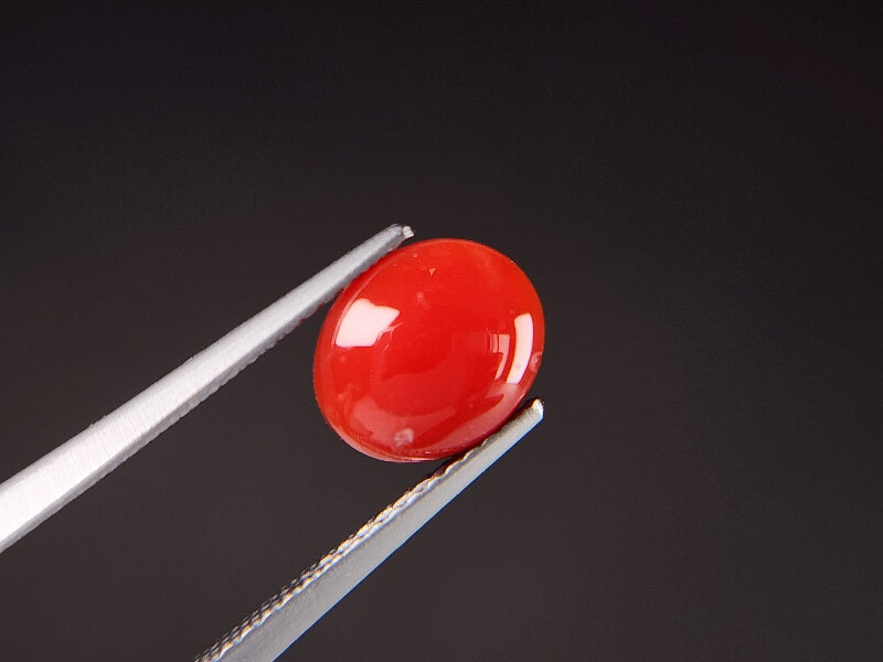 0938-31　珊瑚　1.55ct