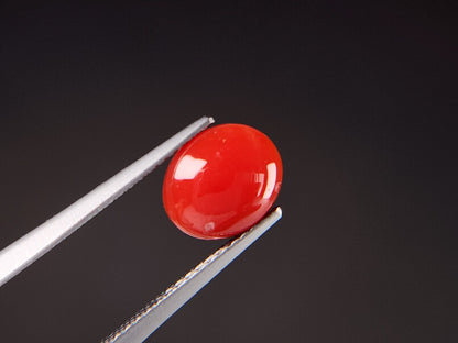 0938-31　珊瑚　1.55ct